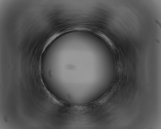 X0000092330910200710051312