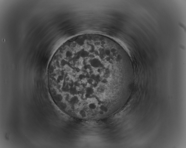 X0000092330911200710051312