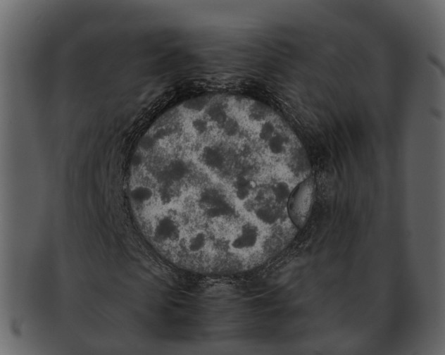 X0000092330913200710051312