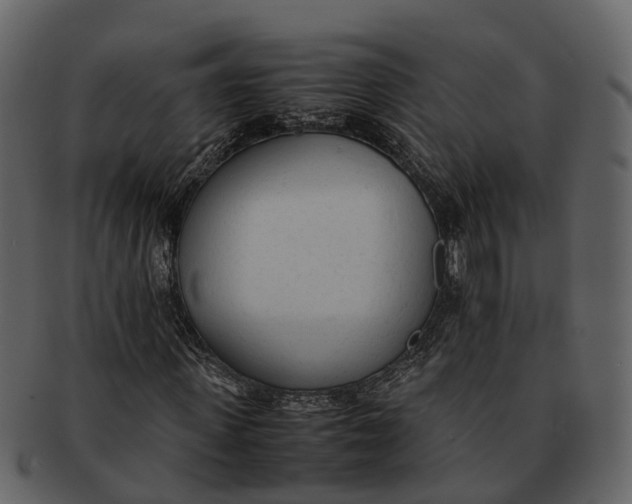 X0000092330915200710051312