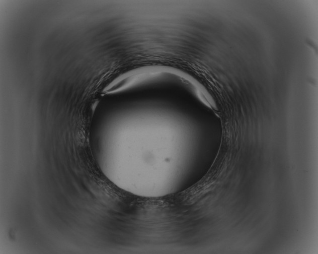 X0000092330916200710051312