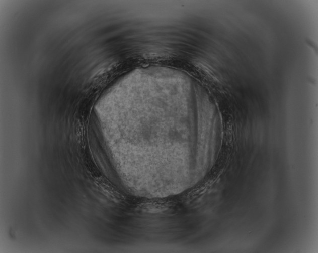 X0000092330917200710051312