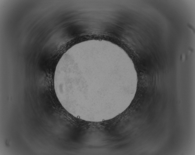 X0000092330918200710051312