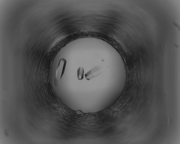 X0000092330919200710051312