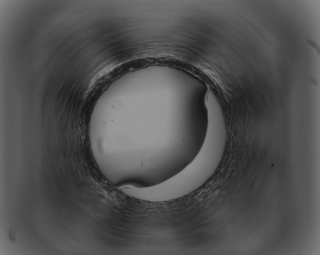 X0000092330920200710051312