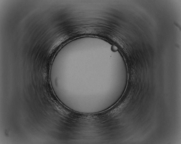 X0000092330922200710051312