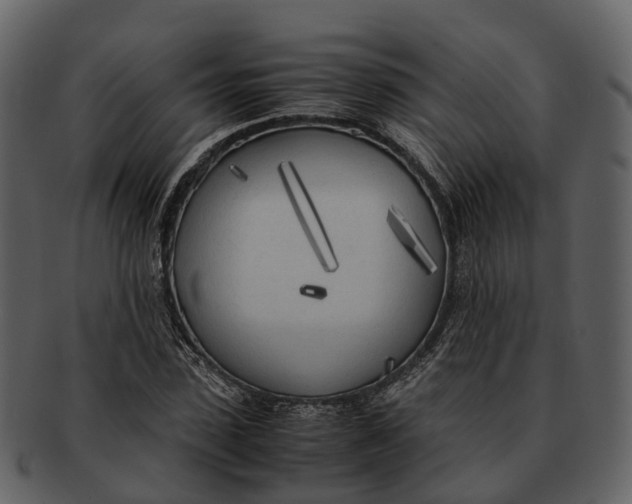 X0000092330923200710051312