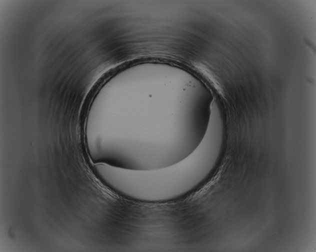 X0000092330924200710051312