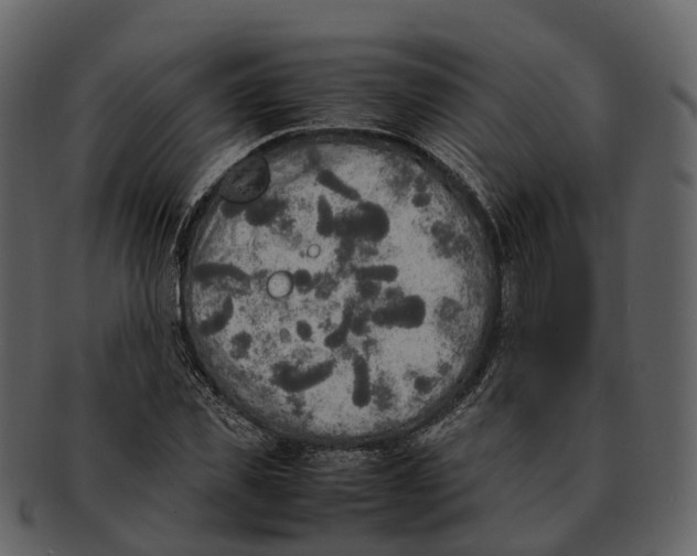 X0000092330925200710051312