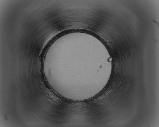 X0000092330926200710051312