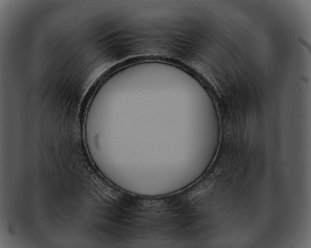 X0000092330927200710051312