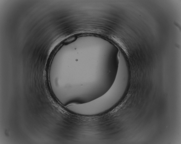 X0000092330928200710051312