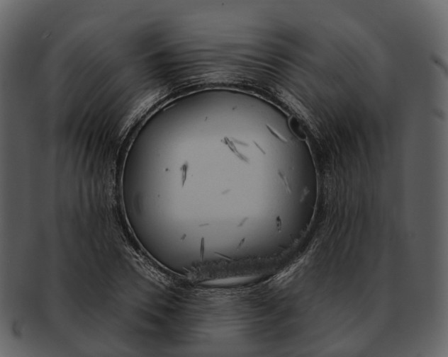 X0000092330930200710051312