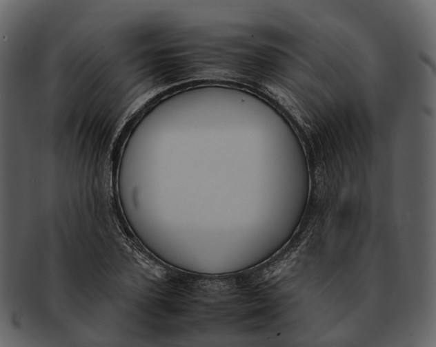 X0000092330931200710051312