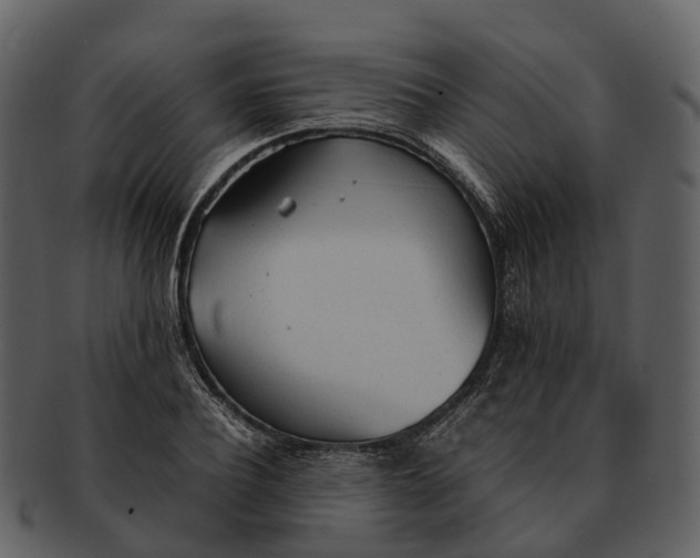 X0000092330932200710051312