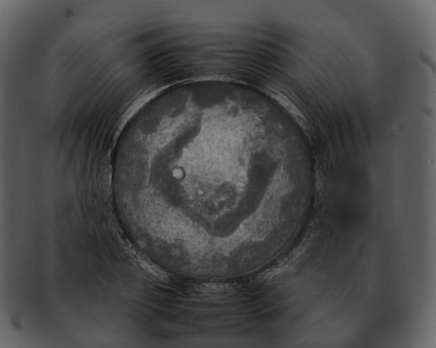 X0000092330933200710051312