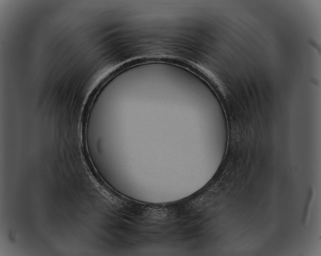 X0000092330935200710051312