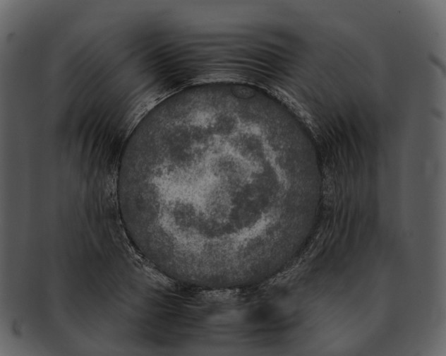X0000092330937200710051312