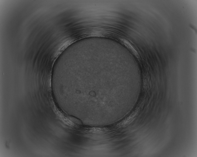 X0000092330938200710051312