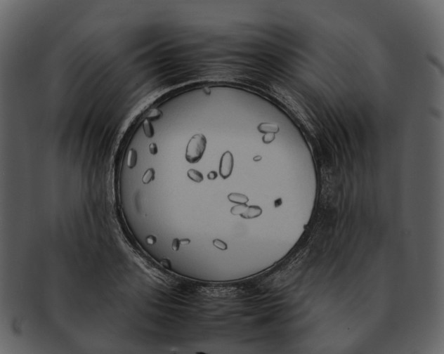 X0000092330939200710051312