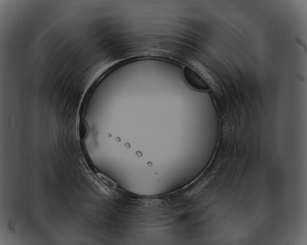 X0000092330940200710051312