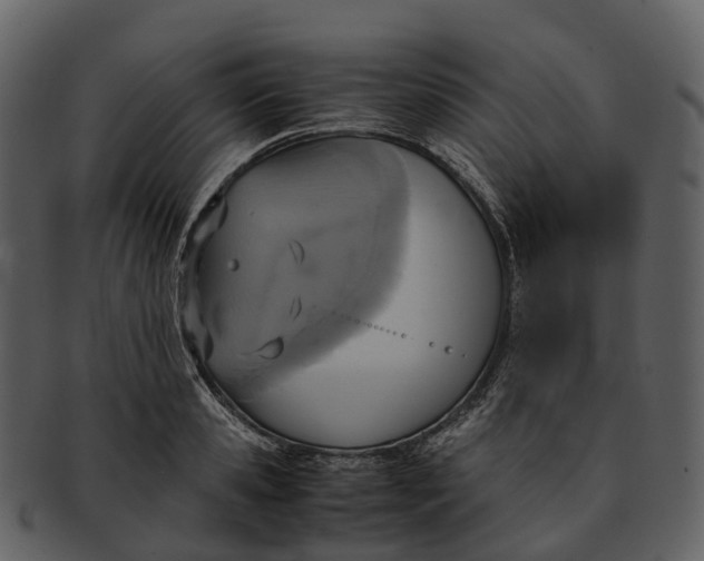 X0000092330941200710051312