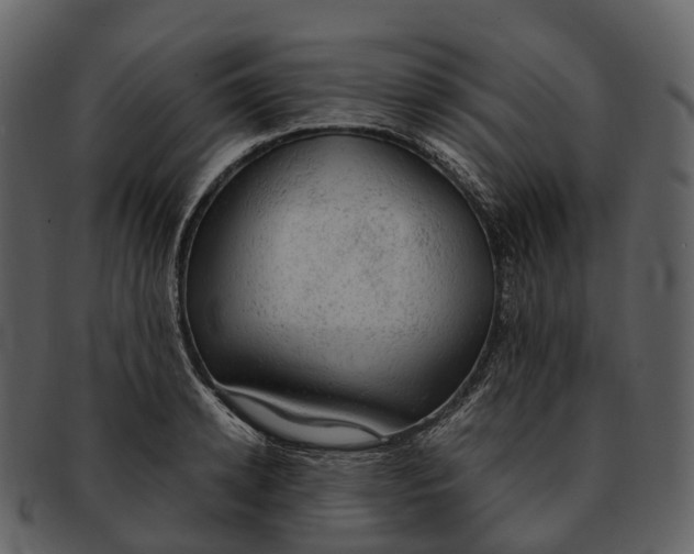 X0000092330942200710051312