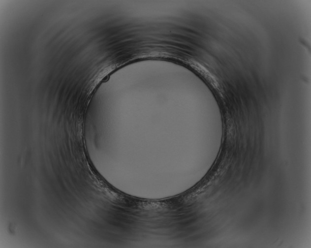 X0000092330945200710051312