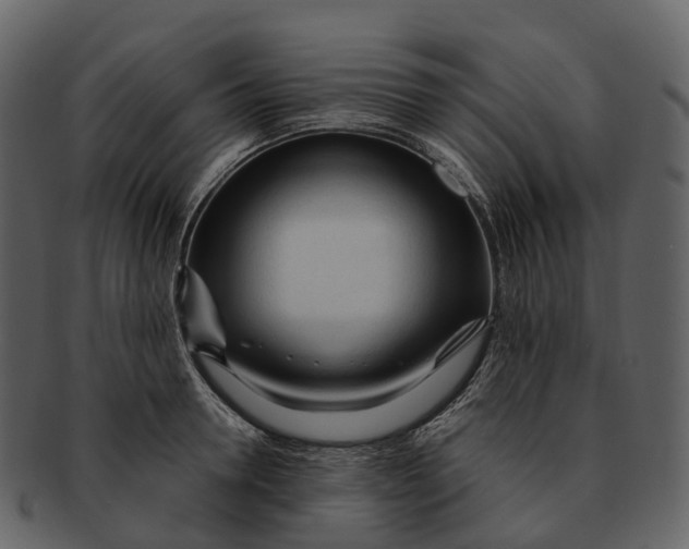 X0000092330946200710051312