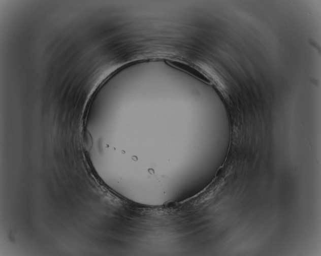 X0000092330948200710051312