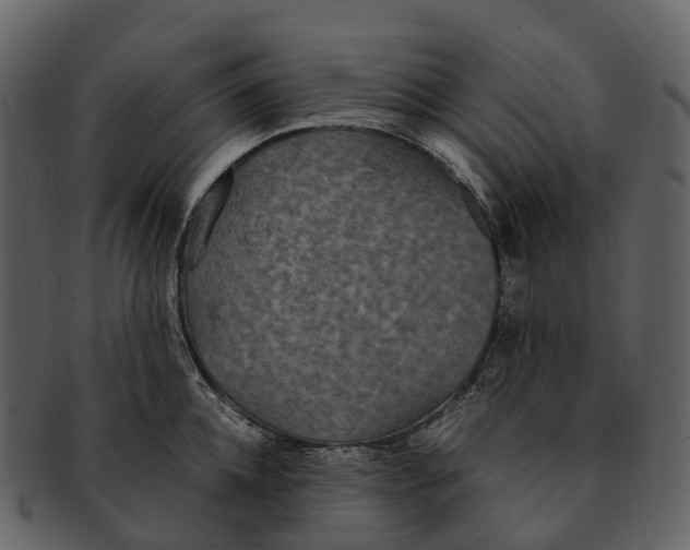 X0000092330952200710051312