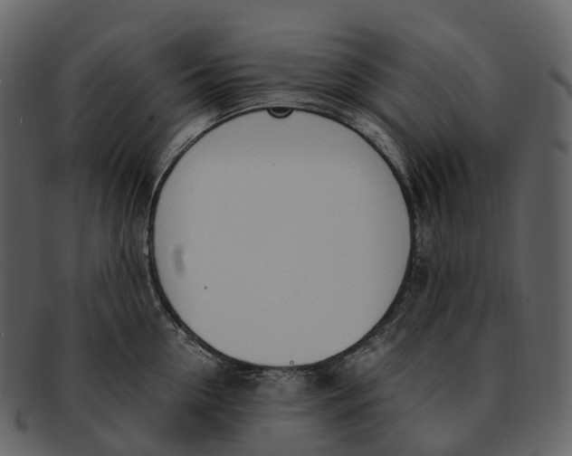 X0000092330954200710051312