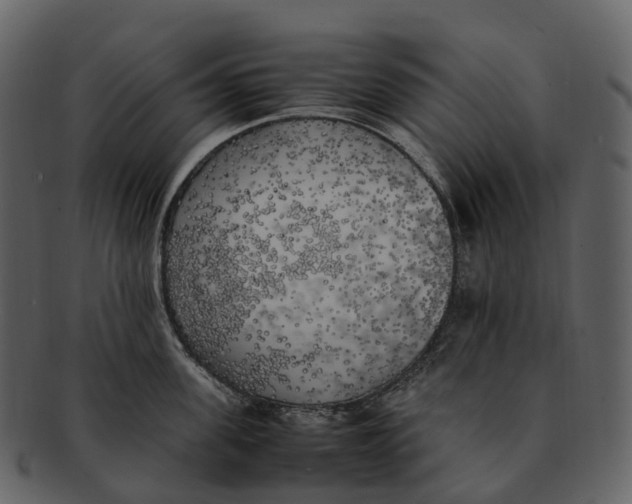 X0000092330955200710051312