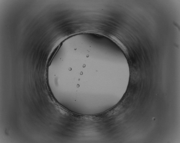 X0000092330956200710051312