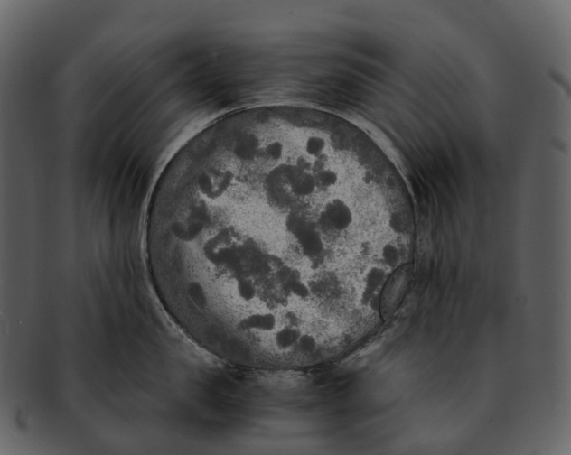 X0000092330957200710051312