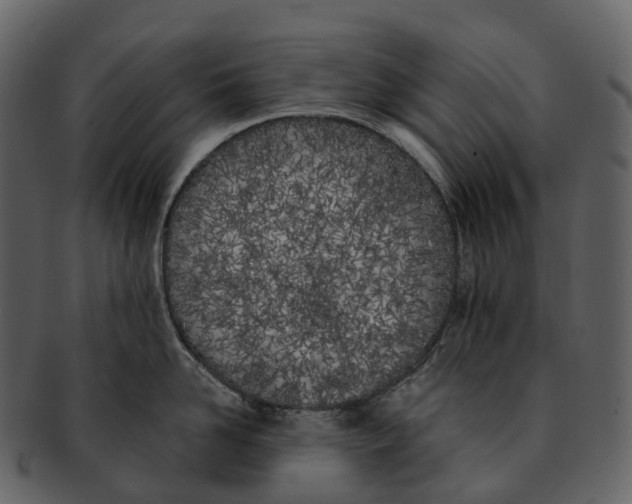 X0000092330958200710051312