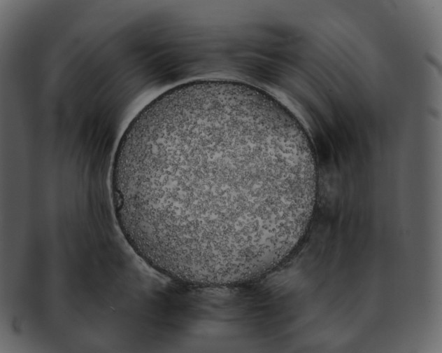 X0000092330959200710051312