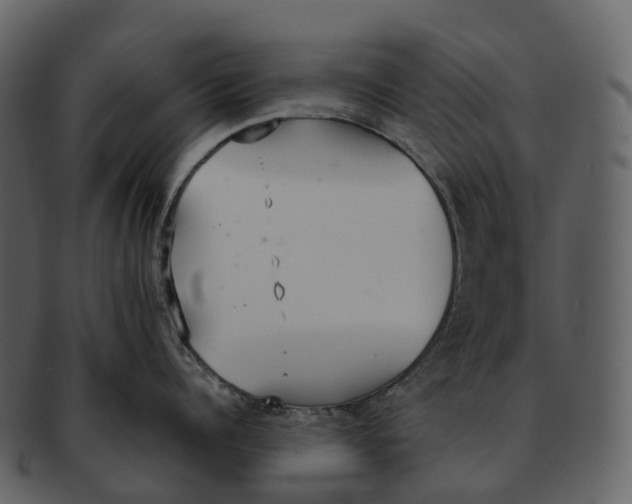 X0000092330960200710051312