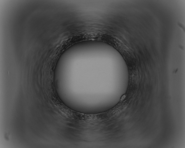 X0000092330961200710051312