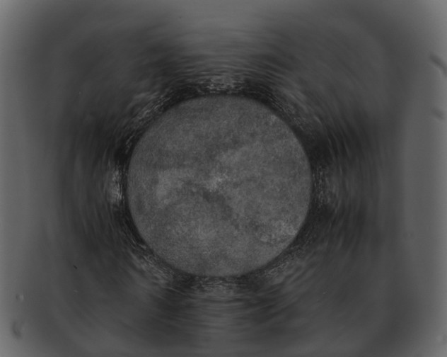X0000092330962200710051312