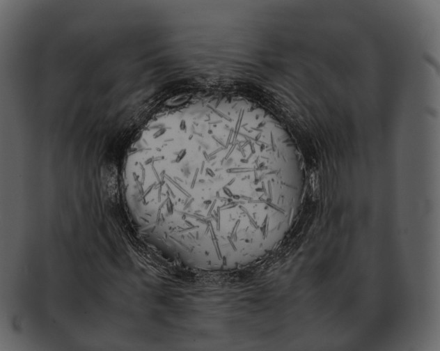 X0000092330963200710051312