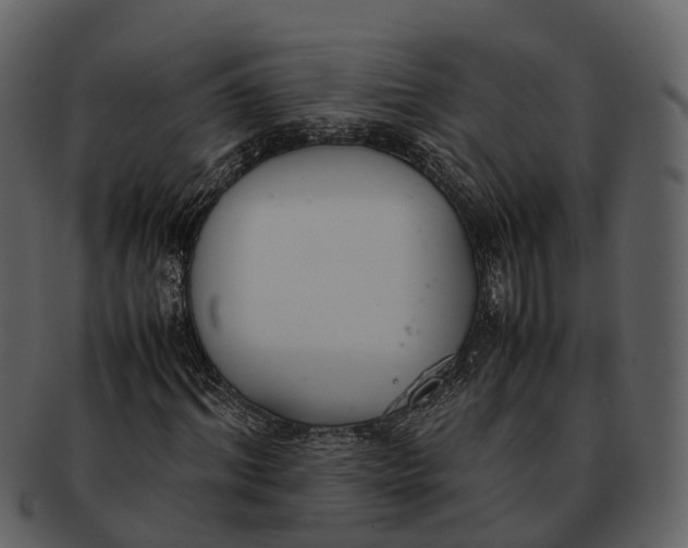 X0000092330964200710051312