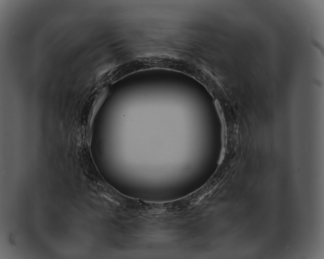 X0000092330965200710051312