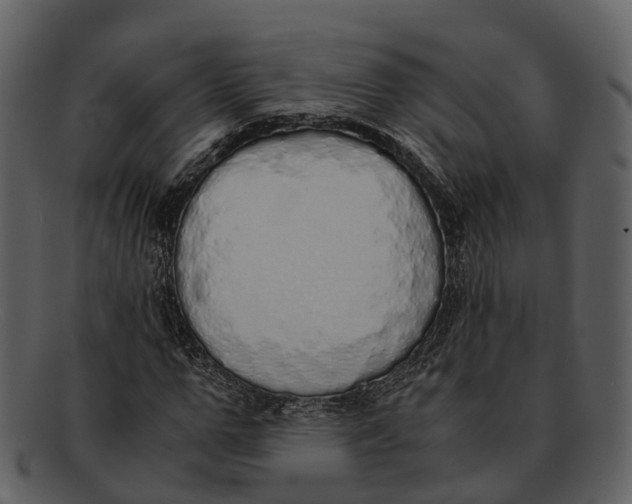 X0000092330967200710051312