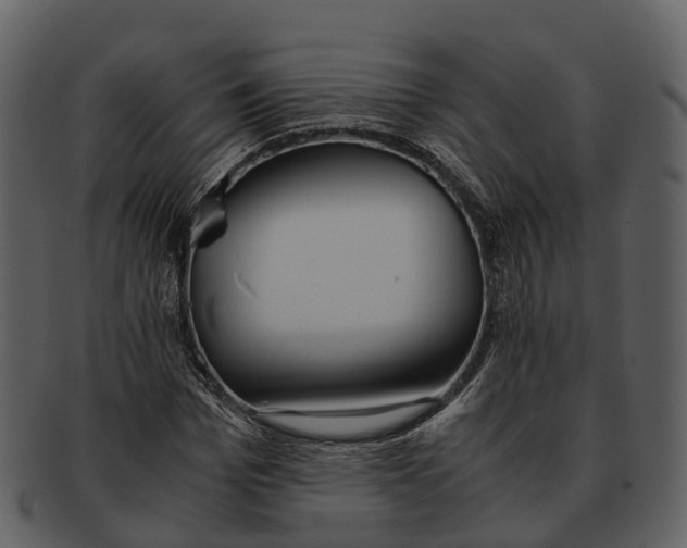 X0000092330969200710051312