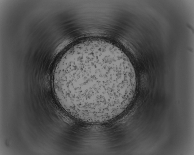 X0000092330970200710051312