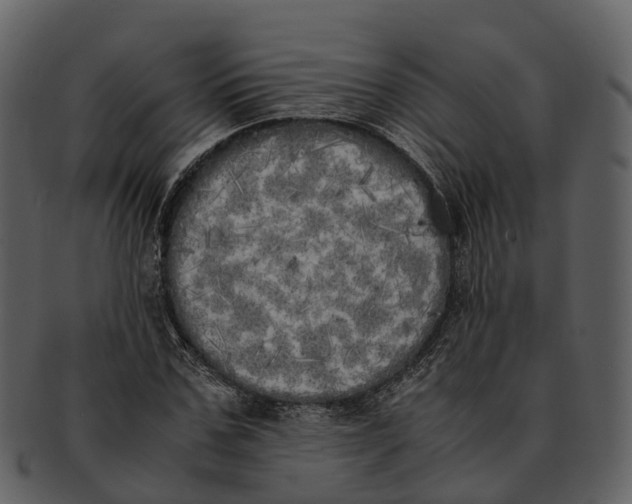 X0000092330971200710051312