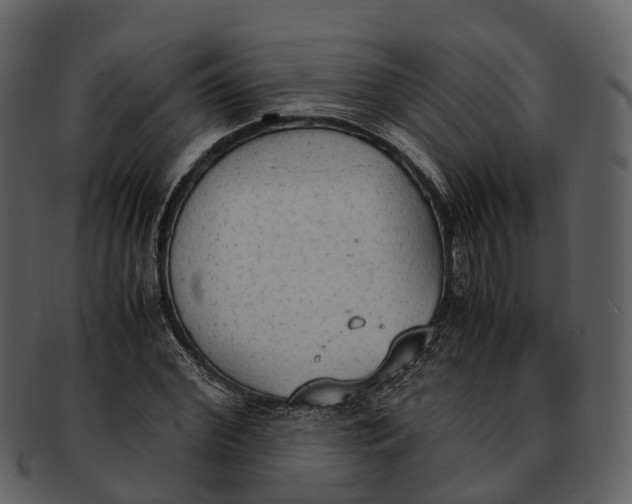 X0000092330972200710051312