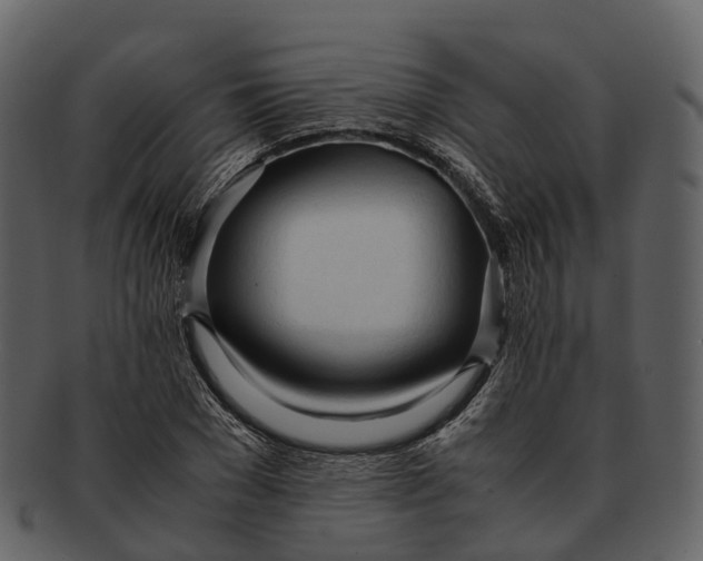 X0000092330977200710051312