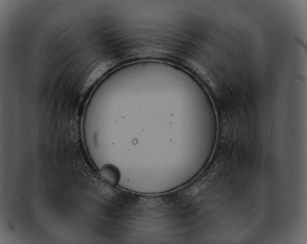X0000092330978200710051312